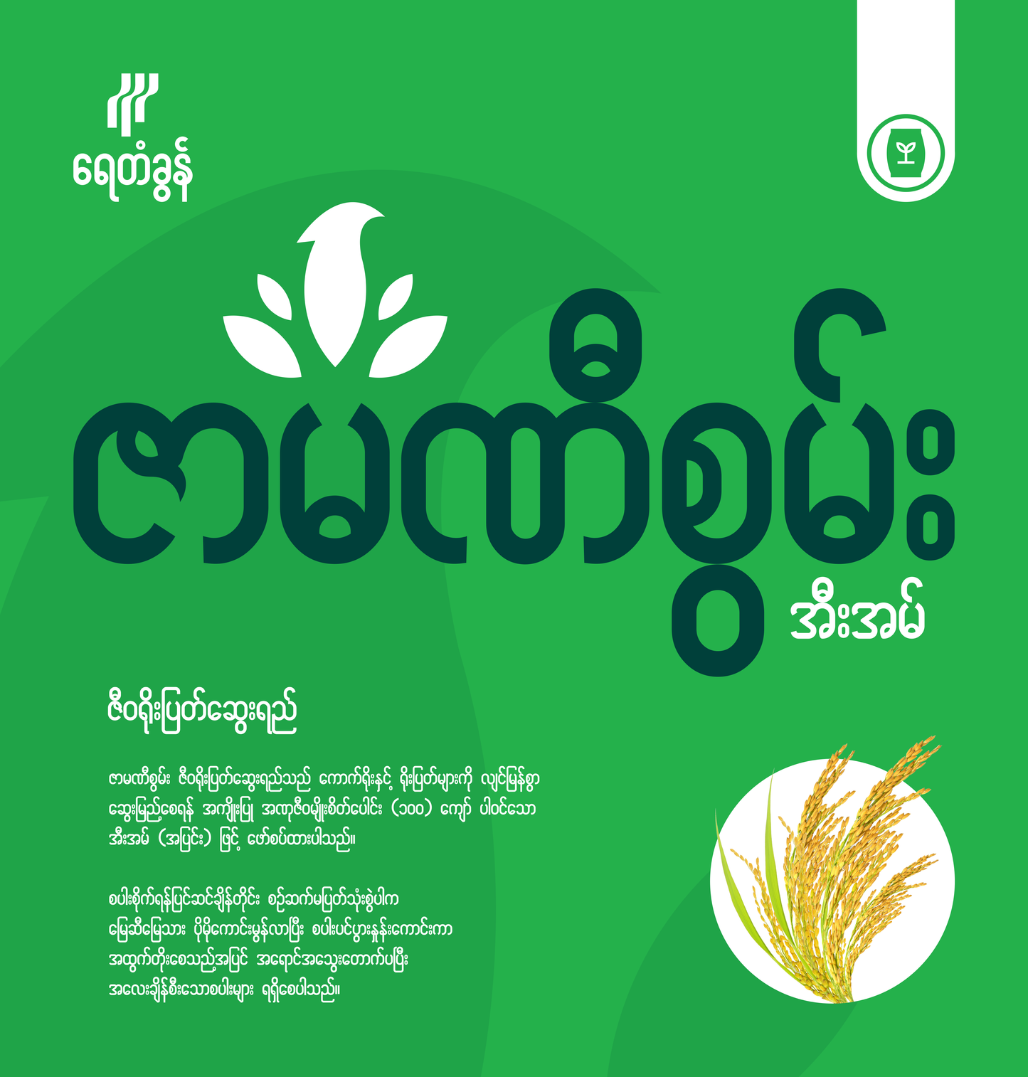 BP-EM02-1.0 ဇာမဏီစွမ်း ဇီဝရိုးပြတ်ဆွေးရည် ၃ လီတာ