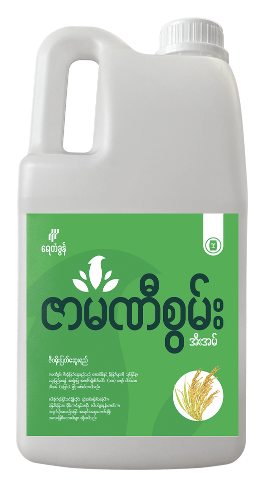 BP-EM02-1.0 ဇာမဏီစွမ်း ဇီဝရိုးပြတ်ဆွေးရည် ၃ လီတာ
